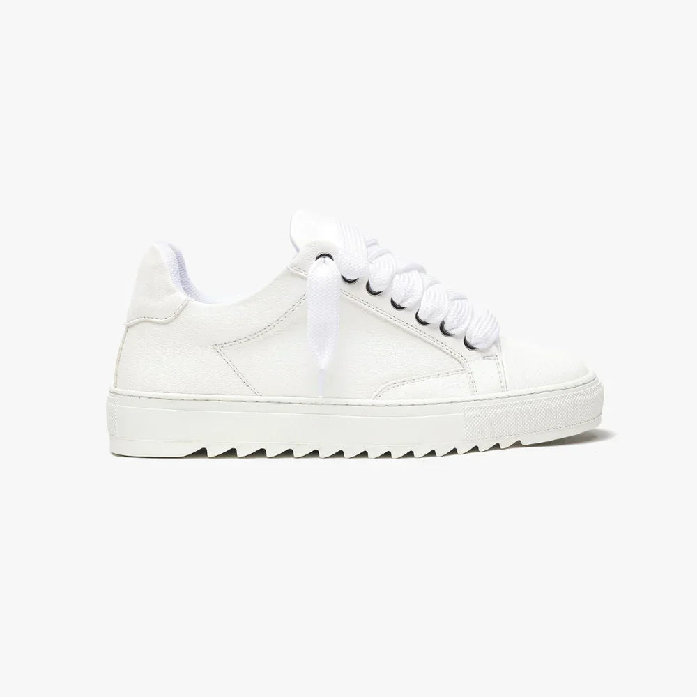 NUMERIS - SNEAKERS